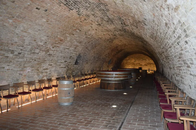 Nelle viscere della terra: le cantine-museo italiane dove il vino diventa memoria viva