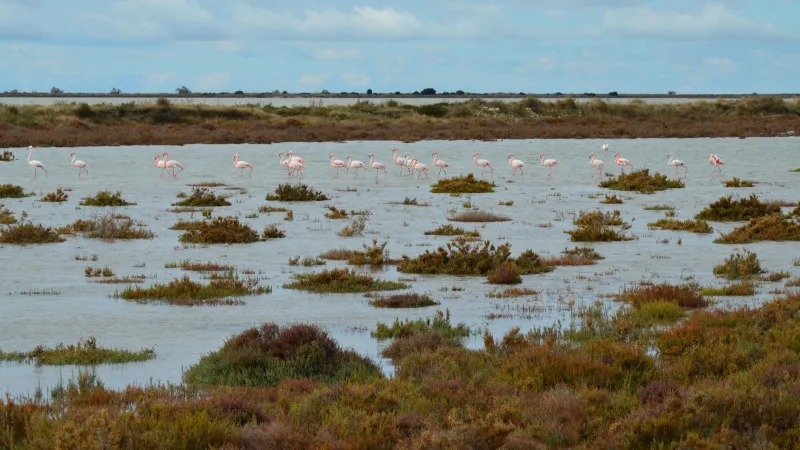 Sardegna di primavera: l'isola selvaggia che non ti aspetti quando il mare è ancora deserto